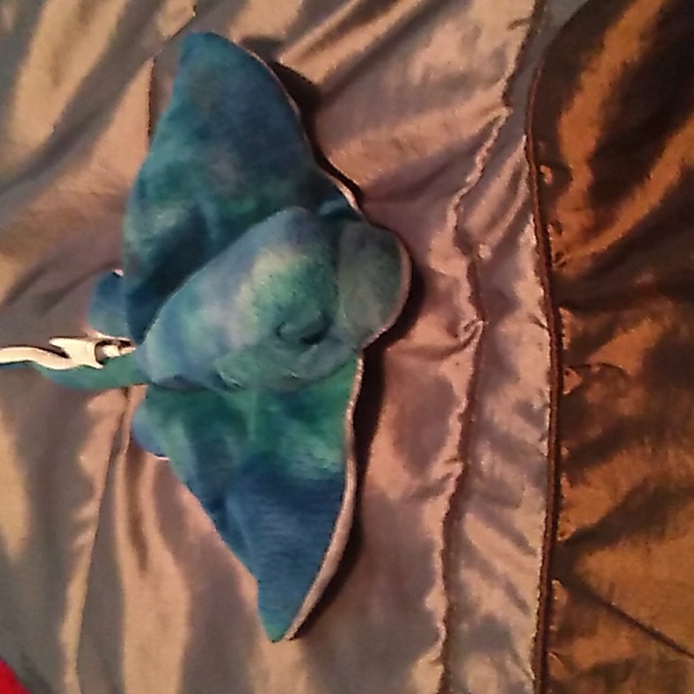 Stingray 🐉